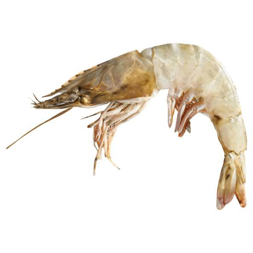 Jumbo Dondurulmuş Karides